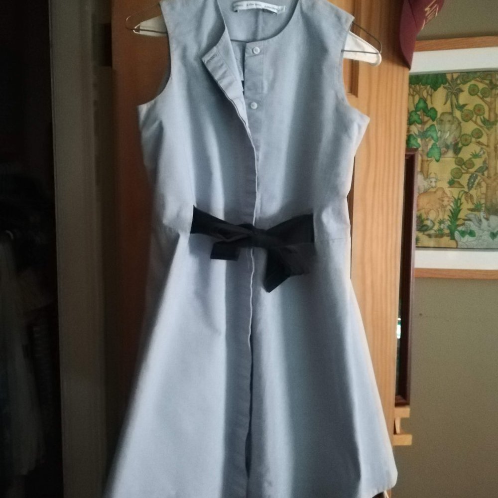 A line button up dress